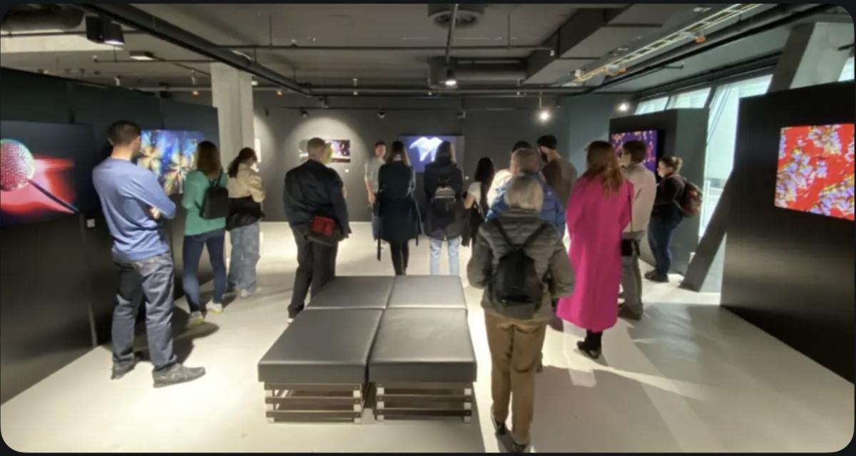 Guided Tour Through The Exhibition 